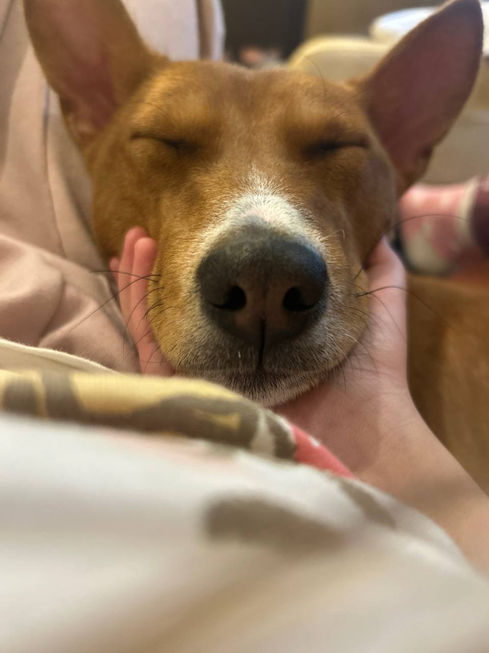 2026 02 25 lezhit s aney