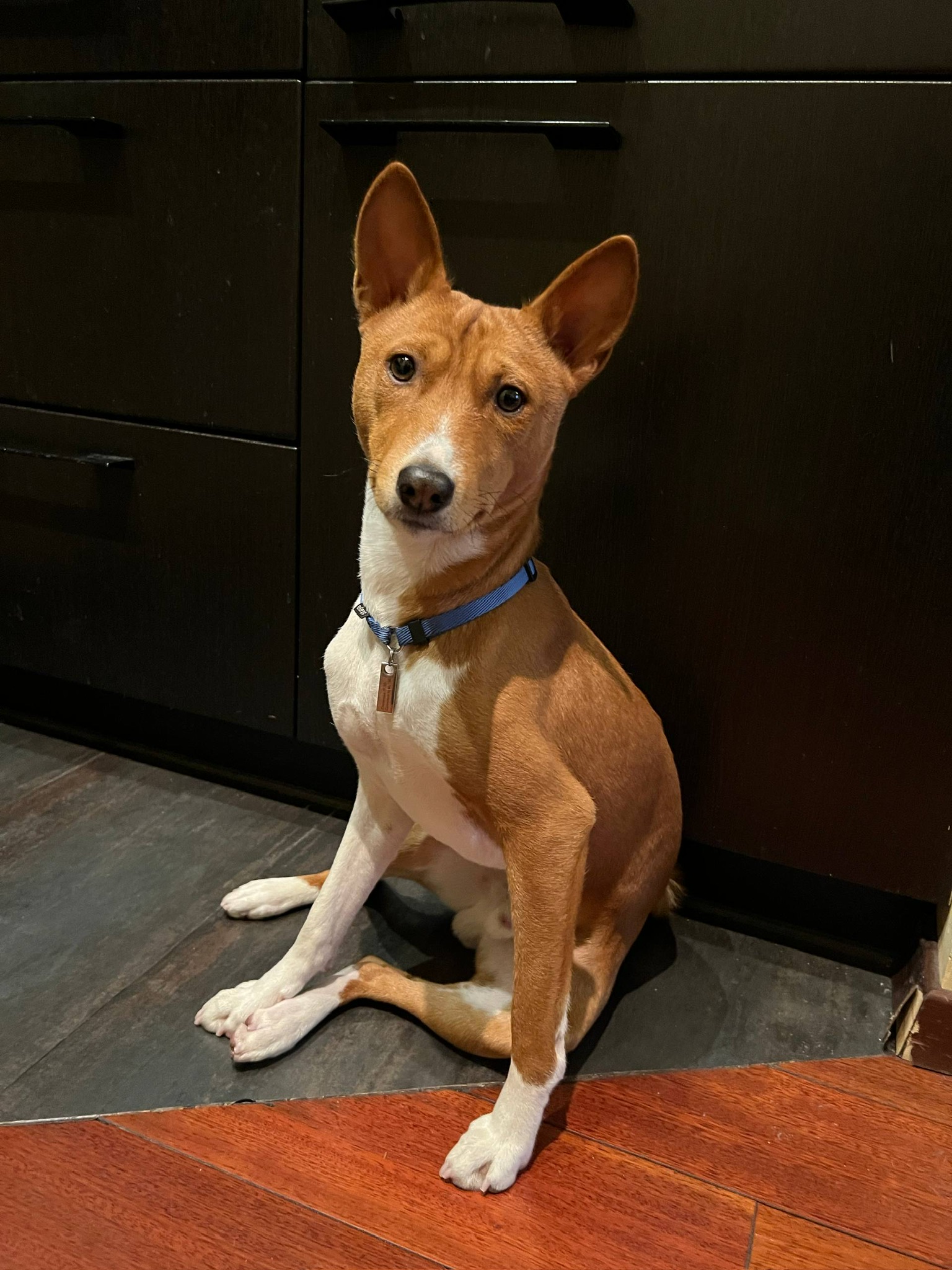 2026 02 25 старая фотография сидит на кухне на столетова