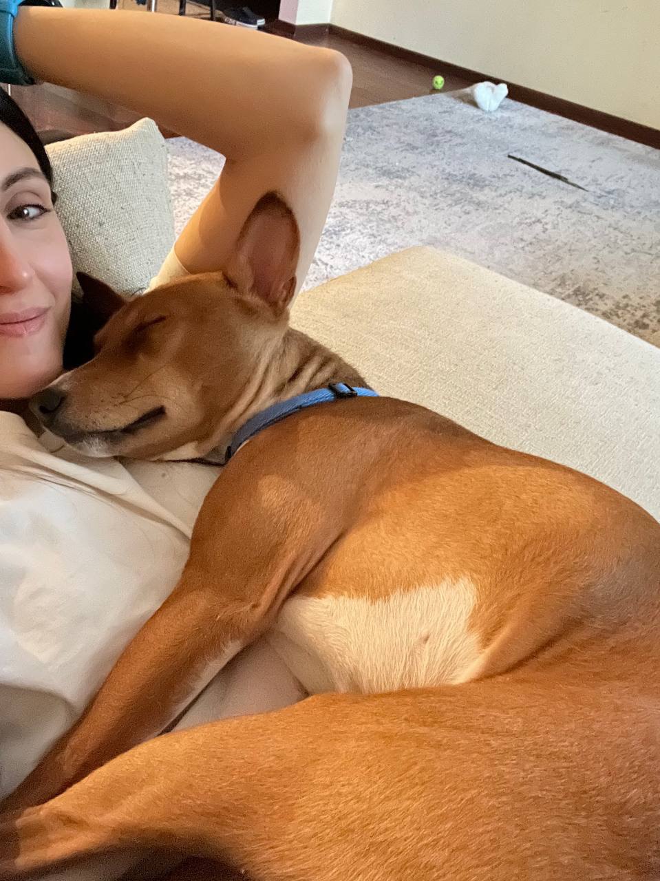 Безмятежность