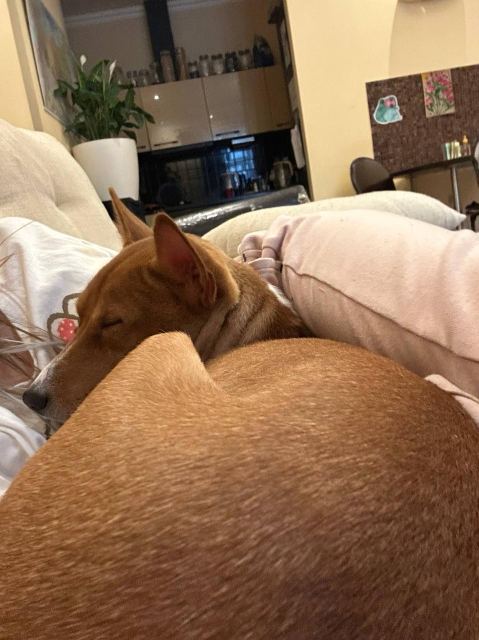 С Аней на диване