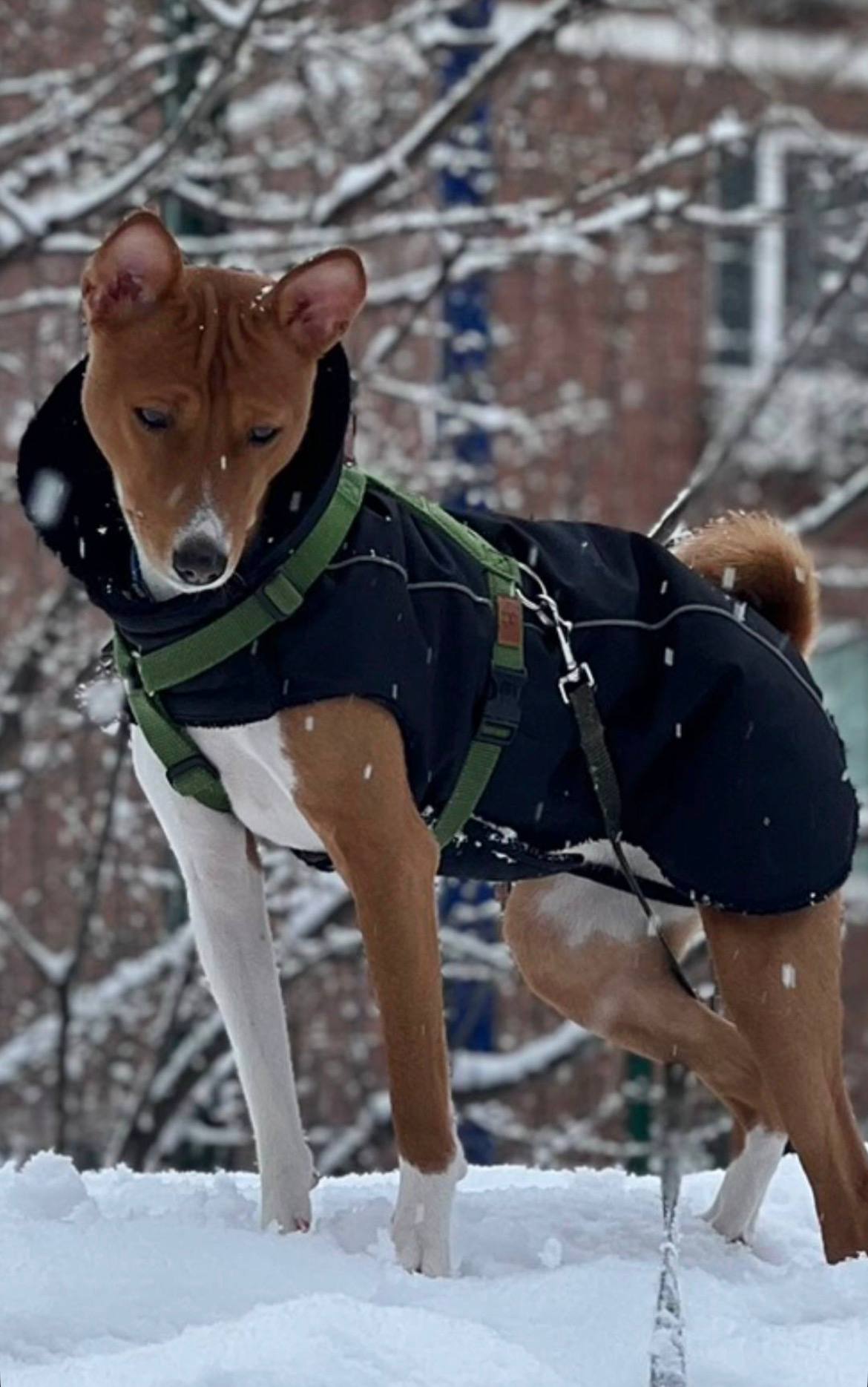 Что-то интересное