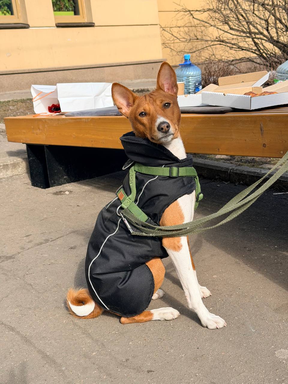 Если не пускают в ресторан